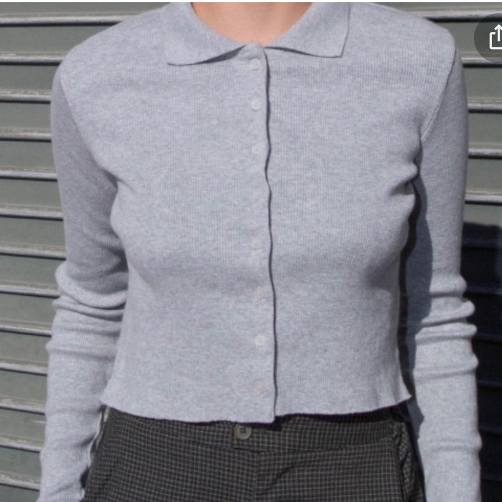 Brandy Melville Gray Caroline Long Sleeve